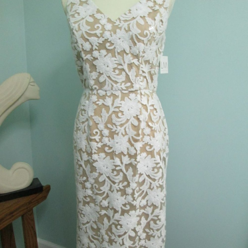 LM Collection Embroidered and Sequin Sheath Dress w/tags-Size 6 EUC